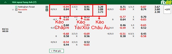 Fb88 bảng kèo trận đấu Nottingham Forest vs Newcastle