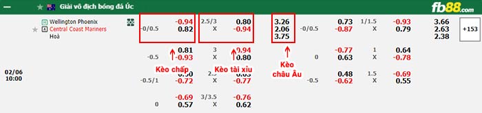 fb88-bảng kèo trận đấu Wellington Phoenix vs Central Coast