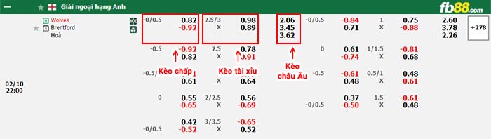fb88-bảng kèo trận đấu Wolves vs Brentford