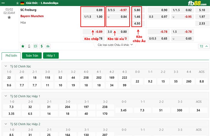 fb88-chi tiết kèo trận đấu Freiburg vs Bayern Munich