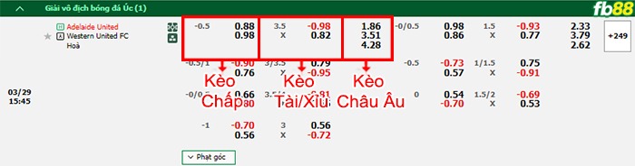 Fb88 bảng kèo trận đấu Adelaide United vs Western United