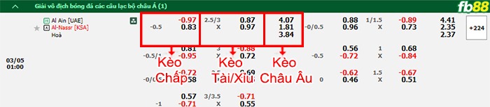 Fb88 bảng kèo trận đấu Al Ain vs Al-Nassr