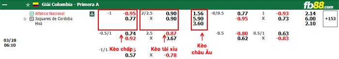 fb88-bảng kèo trận đấu Atletico Nacional vs Jaguares Cordoba