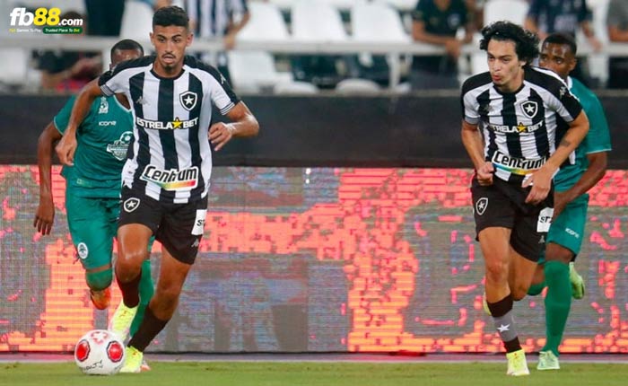 fb88-bảng kèo trận đấu Boavista RJ vs Botafogo