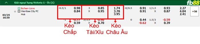 Fb88 bảng kèo trận đấu Bulleen Lions vs Werribee City