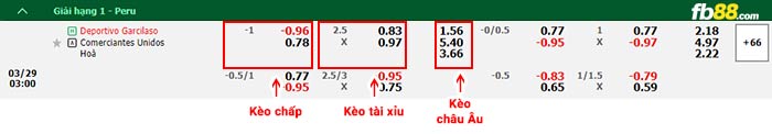 fb88-bảng kèo trận đấu Deportivo Garcilaso vs Comerciantes Unidos