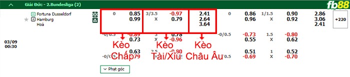 Fb88 bảng kèo trận đấu Dusseldorf vs Hamburger