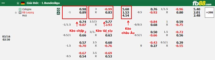 fb88-bảng kèo trận đấu Koln vs RB Leipzig