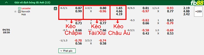 Fb88 bảng kèo trận đấu Leicester City vs Norwich