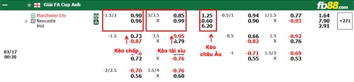 fb88-bảng kèo trận đấu Man City vs Newcastle