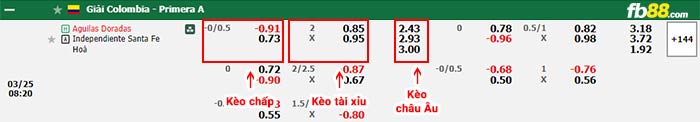 fb88-bảng kèo trận đấu Rionegro Aguilas vs Santa Fe