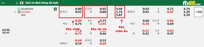 fb88-bảng kèo trận đấu Sunderland vs Leicester