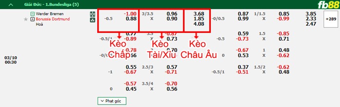 Fb88 bảng kèo trận đấu Werder Bremen vs Dortmund