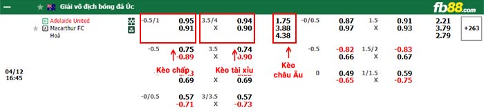 fb88-bảng kèo trận đấu Adelaide vs Macarthur