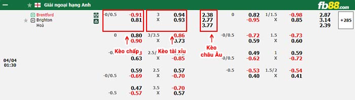 fb88-bảng kèo trận đấu Brentford vs Brighton