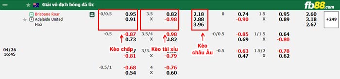 fb88-bảng kèo trận đấu Brisbane Roar vs Adelaide