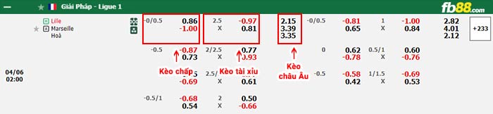 fb88-bảng kèo trận đấu Lille vs Marseille