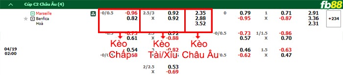 Fb88 bảng kèo trận đấu Marseille vs Benfica