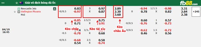 fb88-bảng kèo trận đấu Newcastle Jets vs Wellington Phoenix