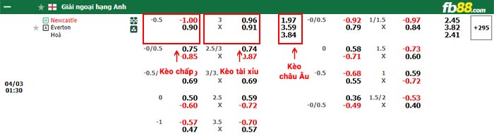 fb88-bảng kèo trận đấu Newcastle vs Everton