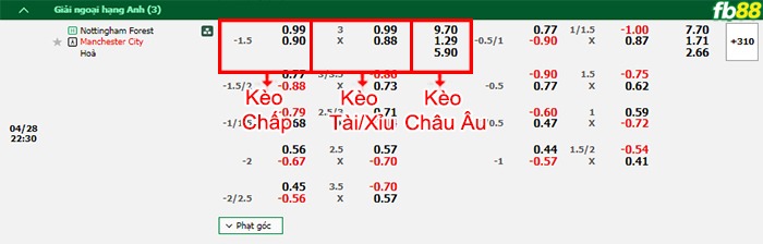 Fb88 bảng kèo trận đấu Nottingham vs Man City