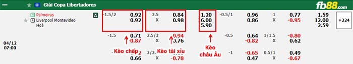 fb88-bảng kèo trận đấu Palmeiras vs Liverpool Montevideo