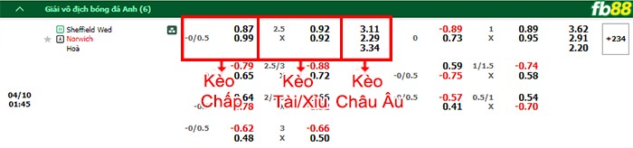 Fb88 bảng kèo trận đấu Sheffield Wed vs Norwich