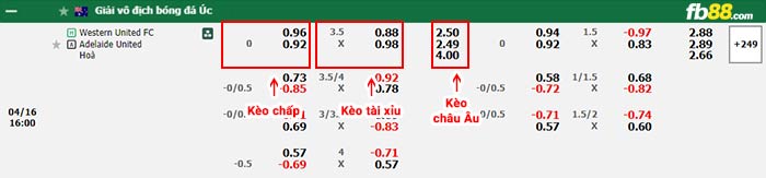 fb88-bảng kèo trận đấu Western United vs Adelaide United