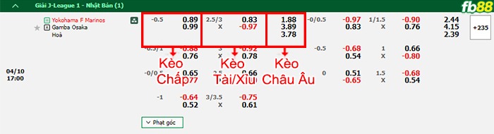 Fb88 bảng kèo trận đấu Yokohama F Marinos vs Gamba Osaka