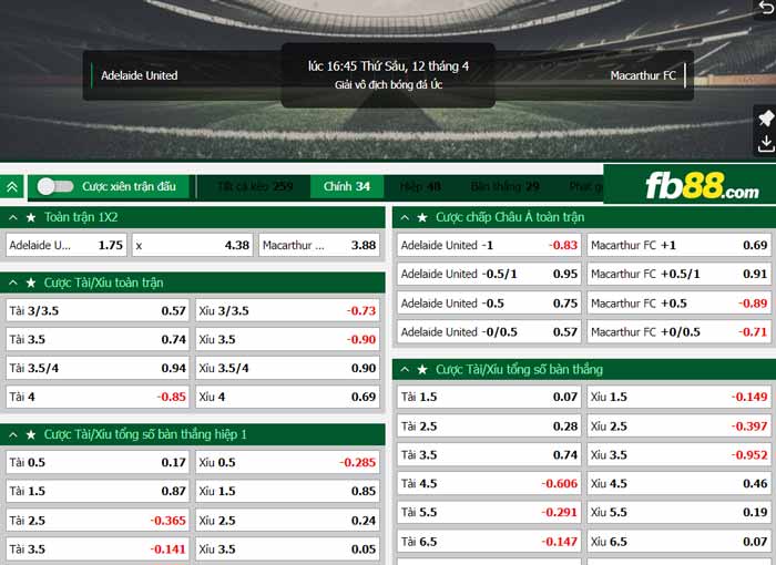 fb88-chi tiết kèo trận đấu Adelaide vs Macarthur