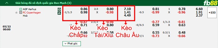 Fb88 bảng kèo trận đấu Aarhus vs FC Copenhague