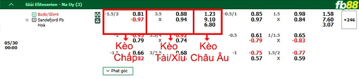 Fb88 bảng kèo trận đấu Bodo Glimt vs Sandefjord