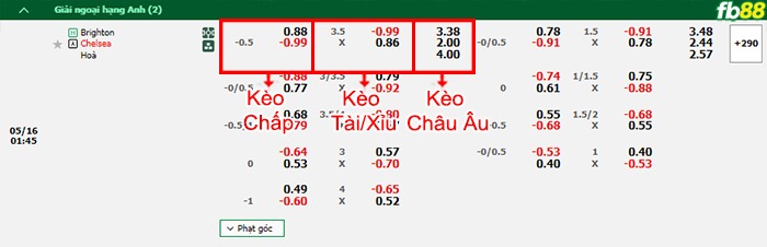 Fb88 bảng kèo trận đấu Brighton vs Chelsea