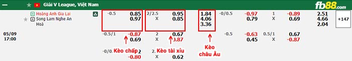 fb88-bảng kèo trận đấu HAGL vs SLNA