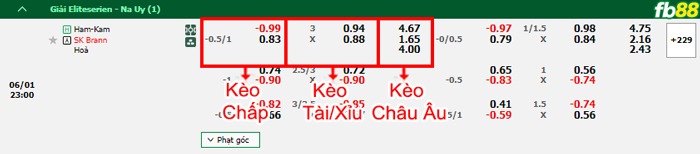 Fb88 thông số trận đấu Sirius vs Norrkoping