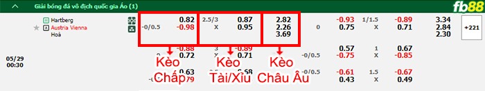 Fb88 bảng kèo trận đấu Hartberg vs Austria Vienna