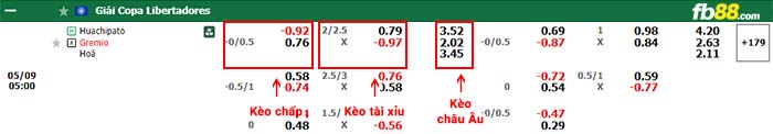 fb88-bảng kèo trận đấu Huachipato vs Gremio