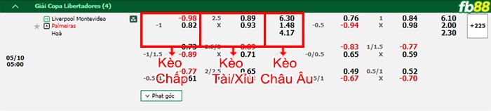 Fb88 bảng kèo trận đấu Liverpool P. vs Palmeiras