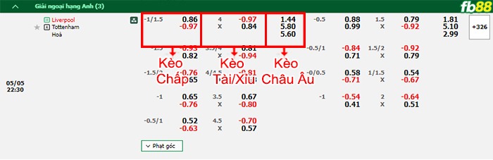 Fb88 bảng kèo trận đấu Liverpool vs Tottenham