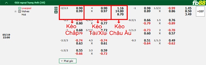 Fb88 bảng kèo trận đấu Liverpool vs Wolves