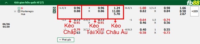 Fb88 bảng kèo trận đấu Bỉ vs Montenegro